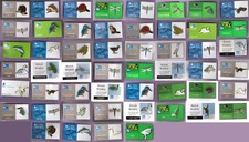 Rspb pin badges for sale  CAMBRIDGE