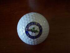 Logo golf ball for sale  Greensboro