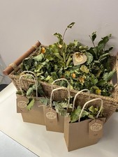 Beech leaves air for sale  WIGAN