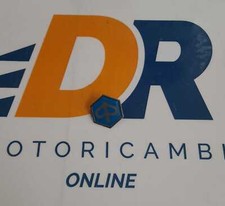 Logo stemma piaggio usato  Napoli