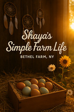 Fertile barnyard hatching for sale  Swan Lake