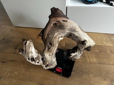Xxl mopani bogwood for sale  CATERHAM