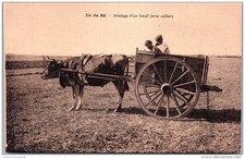 Ile attelage ba d'occasion Ile attelage ba d'occasion  France