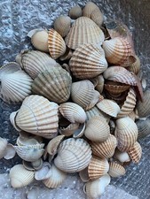 Big lot 150 for sale  FLEETWOOD