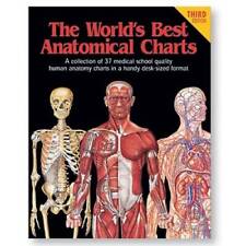Best anatomical charts for sale  Montgomery