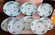 Assiettes plates service d'occasion  Castelnau-le-Lez