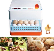 Couveuse incubateur automatiqu d'occasion  Pau