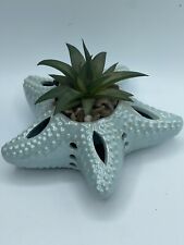 Starfish fake succulent for sale  Marshall