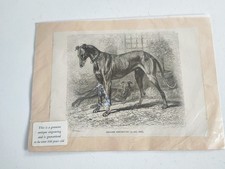 Antique engraving print for sale  ALDERSHOT