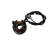 Statore alternatore magnete usato  Frattaminore