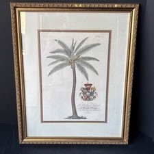 Vintage palm tree for sale  Miami Gardens