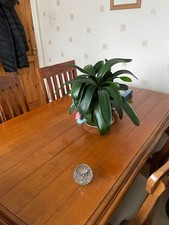Solid oak wood for sale  STOCKPORT