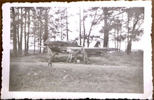 Riginal foto beute gebraucht kaufen  Weiden