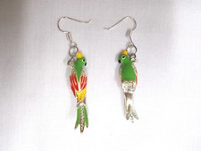 Tropical parrot bird for sale  Kodak
