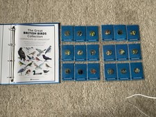 british birds for sale british birds for sale  SWANSEA