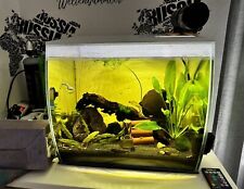 Fluval aquarium komplett gebraucht kaufen  Wuppertal