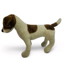 Jack russell terrier for sale  PEACEHAVEN