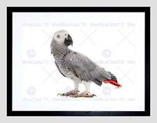 Photo nature animal for sale  EDINBURGH