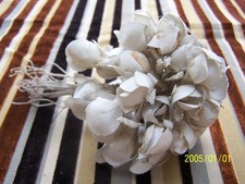 Beau bouquet fleurs d'occasion  Nevers