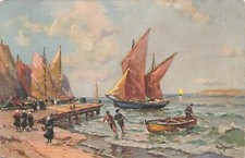 Illustrated breton coasts d'occasion  Expédié en Belgium
