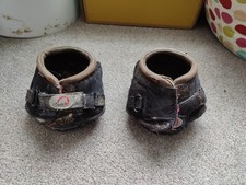 Cavallo elb size for sale  SOUTH MOLTON