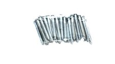 Hex head lag for sale  Clinton Township
