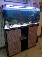 Acquario lt. 180 usato  Padova