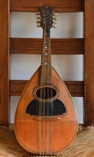 Mandolino vinaccia giuseppe usato  Perugia