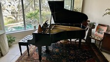 Yamaha baby grand for sale  Saint Augustine
