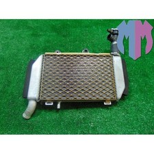Radiatore acqua honda usato  Napoli