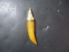 Pingente vintage de dente de tigre com Buda esculpido no topo, usado comprar usado Pingente vintage de dente de tigre com Buda esculpido no topo, usado comprar usado  Enviando para Brazil