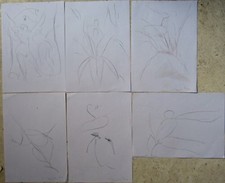 Série VEGETAÇÃO desenhos pinturas a óleo esboços coleção ARTE original etude comprar usado  Enviando para Brazil