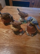 Royal osborne birds for sale  PETERBOROUGH