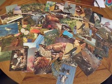 Mixed nature postcards for sale  HORLEY