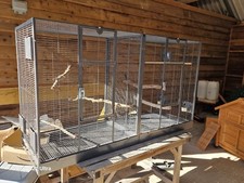 Large rainforest double for sale  TROWBRIDGE