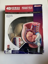 Human anatomy pregnancy for sale  CHESTERFIELD