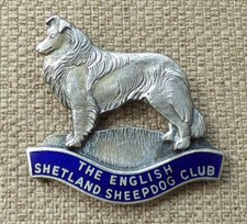 English shetland sheepdog for sale  UK