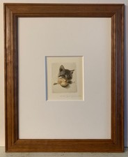 Listed artist guido for sale  New York