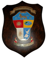 Crest associazione norman usato  Roma