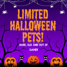Animali halloween vendita usato Animali halloween vendita usato  Spedire a Italy