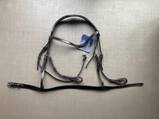 Premier equine primo for sale  ERSKINE
