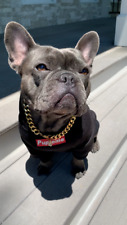 Pupreme dog hoodie for sale  Venice