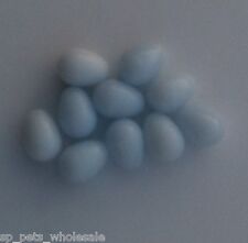 Canary dummy eggs for sale  DERBY