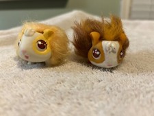 Little live pets for sale  Simpsonville