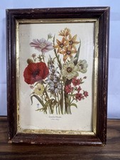 Vintage loudon florals for sale  Charleston