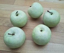 äpfel grün attrappen gebraucht kaufen  Plochingen