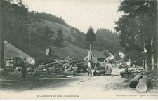 Vosges wood industry d'occasion  Expédié en Belgium
