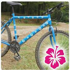 Hibiskus hibiscus blume gebraucht kaufen  Darmstadt