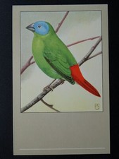 Bird theme tricoloured for sale  UK