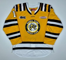 Sarnia sting 2024 for sale  Sanborn